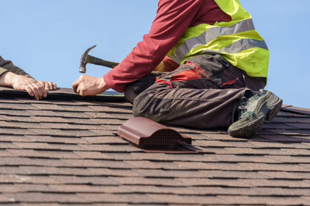 Best Flat Roof Repair Services  in Stone Park, IL